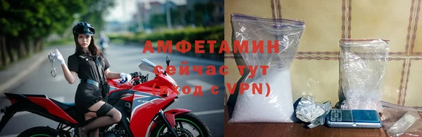 прущие грибы Богданович