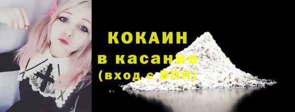 мескалин Богородицк