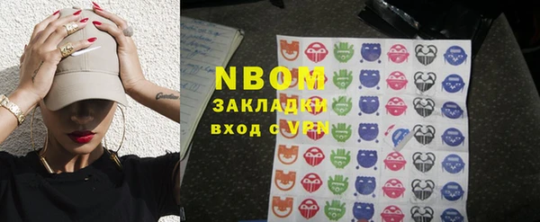 прущие грибы Богданович