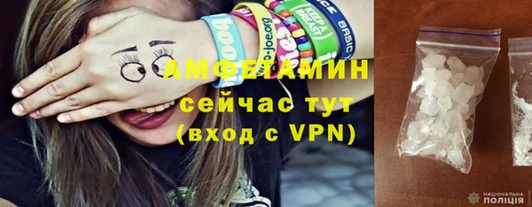 прущие грибы Богданович