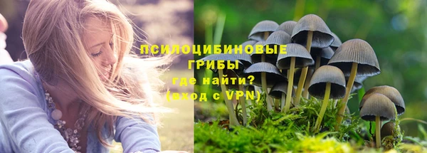 герыч Ростов