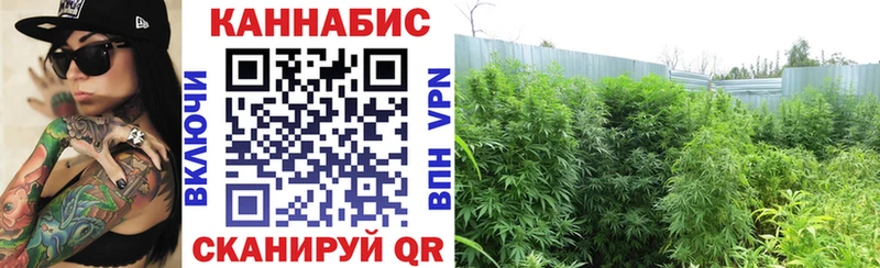 МАРИХУАНА индика  Кинель 